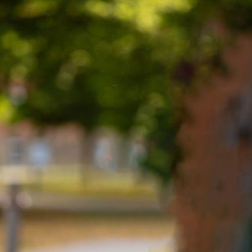 Sabine Nies – Fakultätsassistentin Medien