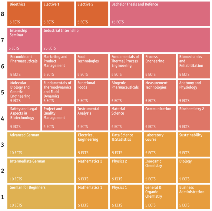 Module Plan AST